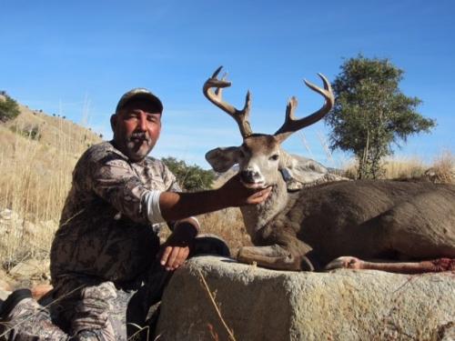 buck20
