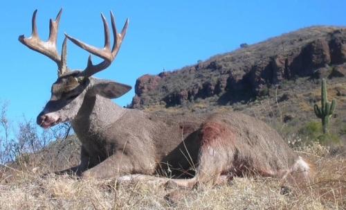 buck57