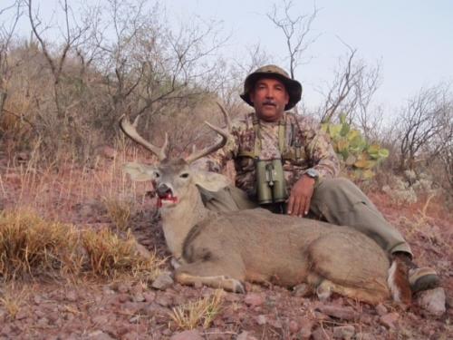 buck77